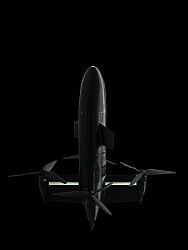 Black Wasp C-UAS Interceptor