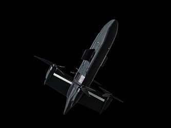Black-Wasp-1.jpeg