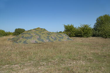 IMG-1876.jpg