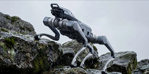 Robots and automation solutions