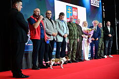 6abb7155-bb85-4bc9-881d-27fa888bd0f9.JPG