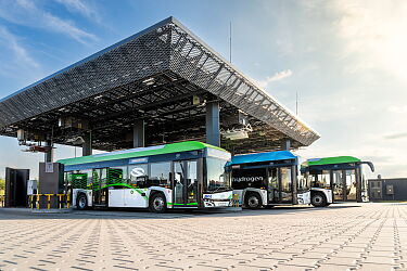 1mb-72dpi-NZ8-8659.JPG