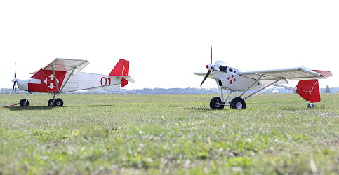 red-and-white-D80-and-e300-lr.jpg